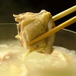 はながき - 天草大王博多水炊き　２３１０円（１人前）※２名様より　スープも天草大王の鶏がらのみの白濁です