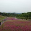 芝ざくら公園直売店