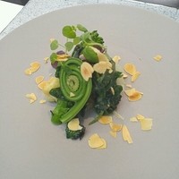 日本料理 TOBIUME - イカのぬた和え