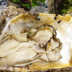 うなぎ屋酒坊・画荘 越後屋 - 