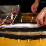 うなぎ屋酒坊・画荘 越後屋 - 