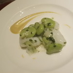 齋華 - 烏賊とソラマメ