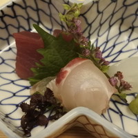 京夕け　善哉 - 鰹、真鯛、針烏賊