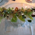 Hoku's - 真鯛のカルパッチョ、アボガド、マイクログリーントリュフオイルのビネグレット