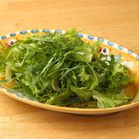 シンプルグリーンサラダ