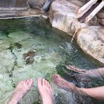 海舟 - お母さんとﾊﾟﾁｬﾊﾟﾁｬｗ