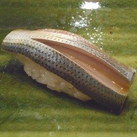 銀座 鮨 かねさか 本店 - シマアジ