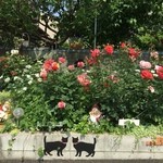 カフェ ケルン - お店前（駐車場前）のお宅（２０１６．５．１３）