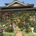 カフェ ケルン - お店の前(駐車場）のお宅（２０１６．５．１３）