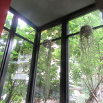 攤 台灣 TUA - 光あふれる窓際の席