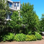 メゾン エメ・ヴィベール - 快晴に映える外観の風景です