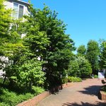 メゾン エメ・ヴィベール - 快晴に映える外観の風景です