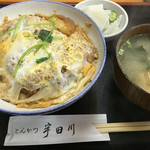 Tonkatsu Udagawa - 