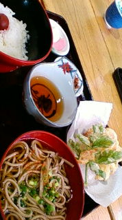 道の駅 天竜相津花桃の里 name=
