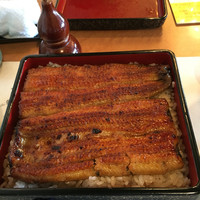 鰻割烹 伊豆栄 本店 - ちょっとだけ肉薄か？