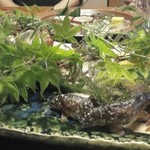 しのはら - 山八寸全体