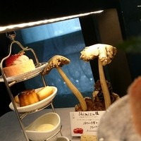 ヒカリヤ ニシ - 