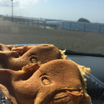 恵友 - 料理写真:くじらん焼き