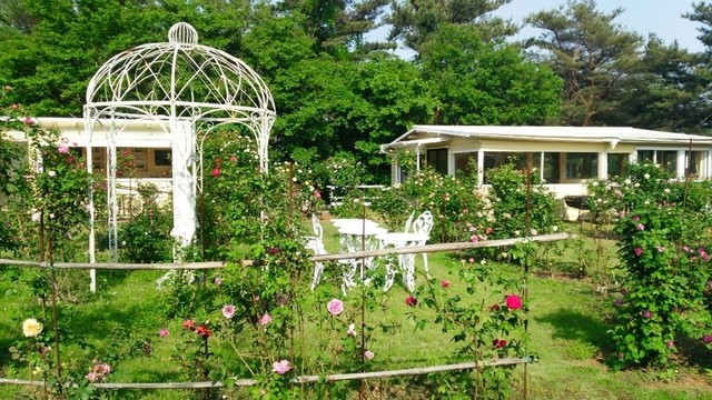 ローズグラスガーデン 遊園地西 洋食 食べログ ローズグラスガーデン 遊園地西 洋食 食べログ
