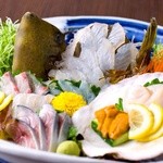 虎丸 - 