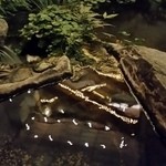 渡風亭 - 中には庭園