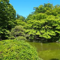 日比谷パレス - 緑溢れる日比谷公園の風景です