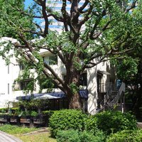 日比谷パレス - 外観の風景です