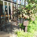 碑文谷テラス - 店頭 テラス席と一部の店内の席でペット可