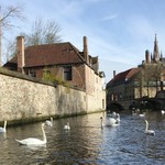 Gruuthuse Hof - 白鳥が気持ちよさそうに泳ぐ美しいブルージュの運河