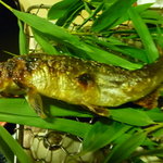 桜田 - 焼き物　稚鮎