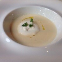 コートロティ - 
