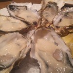 NAGOYA OYSTER BAR - 生牡蠣6貫