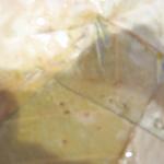 ナングロガル - サマエボウジセットの葉皿接続部