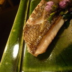 おかだ紅雪庭 - 鯛