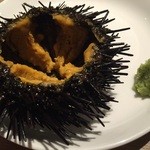 プラチナフィッシュ バル - 