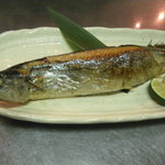 醸し屋 素郎slow - 毎日変わる日替わり料理。季節の食材をふんだんにお楽しみあれ！！