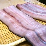 初音鮨 - 天然鰻