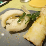 アクオリーナ - 