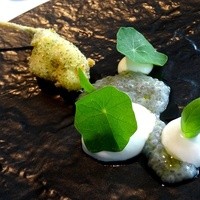 クラフタル - 2016.3 カエルをイメージ！