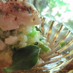 ろ - 甘鯛のサラダ