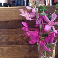 施家菜 - 