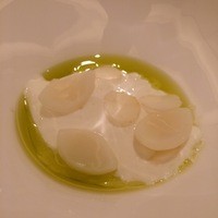 カンテサンス - 
