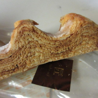 ハナミズキ エフスタイル_1