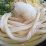 Hamashin Udon - 麺アップ