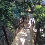 なんじゃもんじゃカフェ - 吊り橋を渡るなんて子供の頃ぶりかも！？