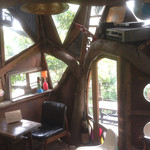 なんじゃもんじゃカフェ - 木漏れ日が優しく注ぐ店内。