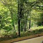 エン カフェ - 窓の外