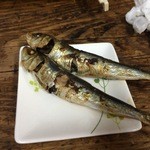 常盤木 - サービスの一夜干し