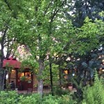 オークウッド - 森の中のお菓子の家？