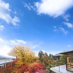 辻家庭園 - 